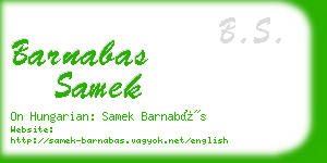 barnabas samek business card